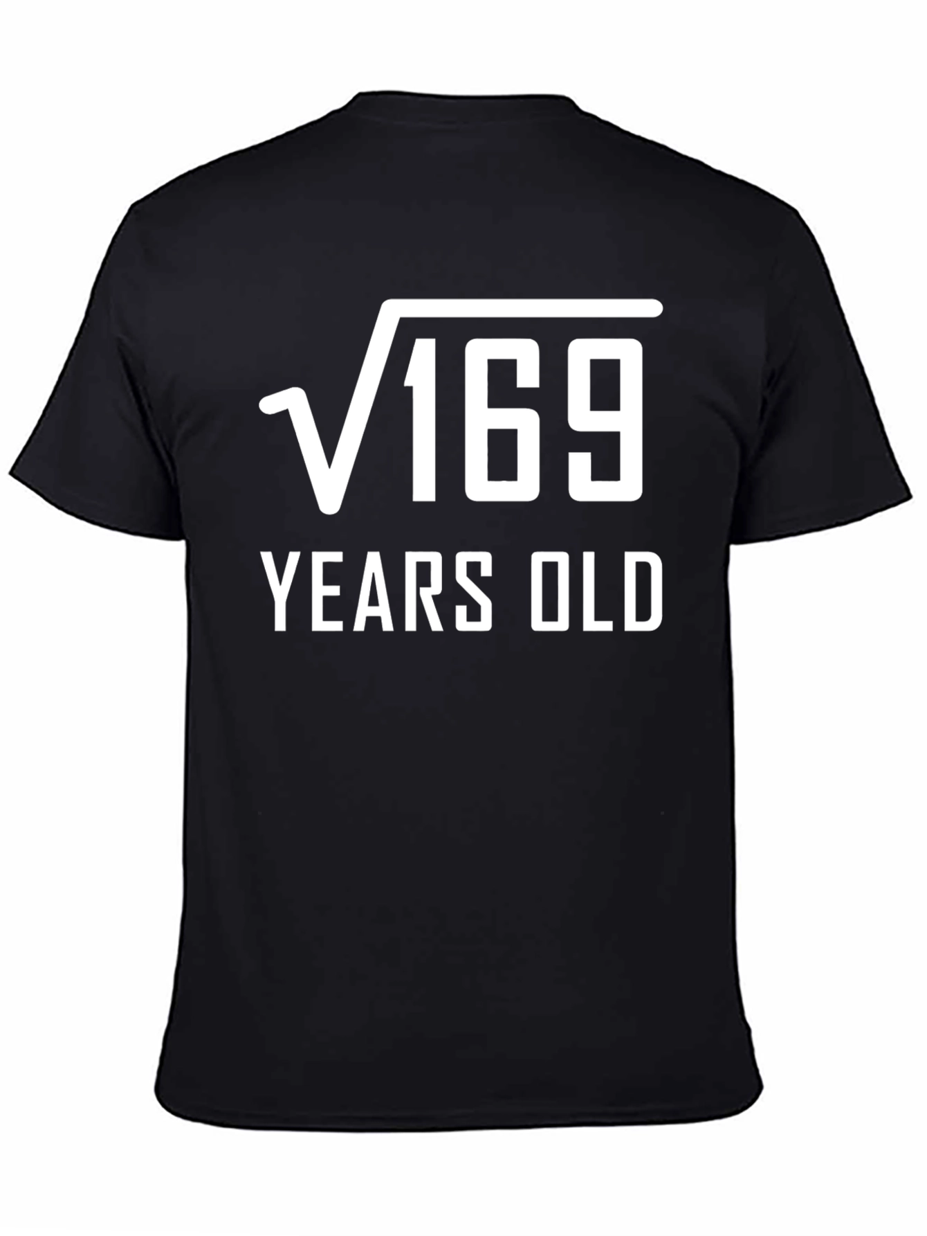 Funny 13th Birthday T-Shirt: Square Root of 169